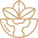 eco icons