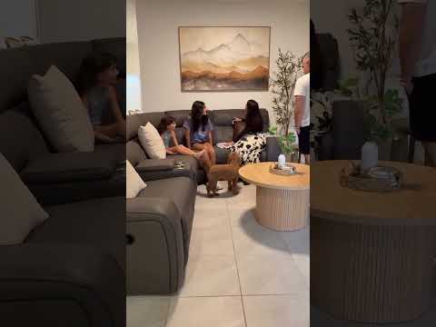 Load video: Wabi-Sabi Wall Art #TX309