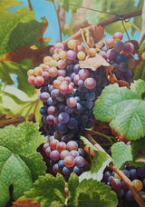 Large Hyperrealistic Grape Canvas Wall Art Realistic Grape Wall Painting Realistic Grape Scenery Mural Decoration